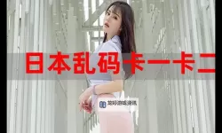 国产乱码卡一卡二新区网站揭秘：最新安全指南与使用体验