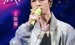 聚焦荣耀：盘点中国梦之声十强的精彩瞬间