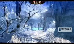 九阴真经无门派路线详解：突破限制的修炼攻略