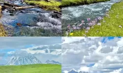 探秘虐杀原形3的开发团队：创新与挑战并存