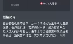 张若昀风起大漠在线观看：感受大漠风云再现的壮阔剧情