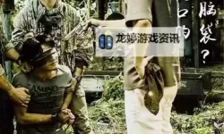 探索极致视觉盛宴：重口味电影网带你领略非凡电影世界