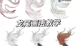 神龙百尾怎么还原：详解复原技巧与步骤