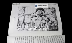 欧美插插插：探索跨文化的情色艺术与表现