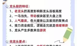 全面解析御龙战仙攻略大全：高手必看攻略秘籍指南