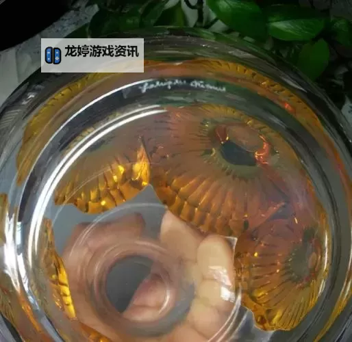 水晶瓶在哪买？详细购买指南与推荐店铺图2