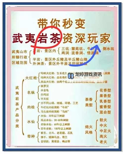 茶馆奇缘任务攻略:完整指南与快速完成技巧图2