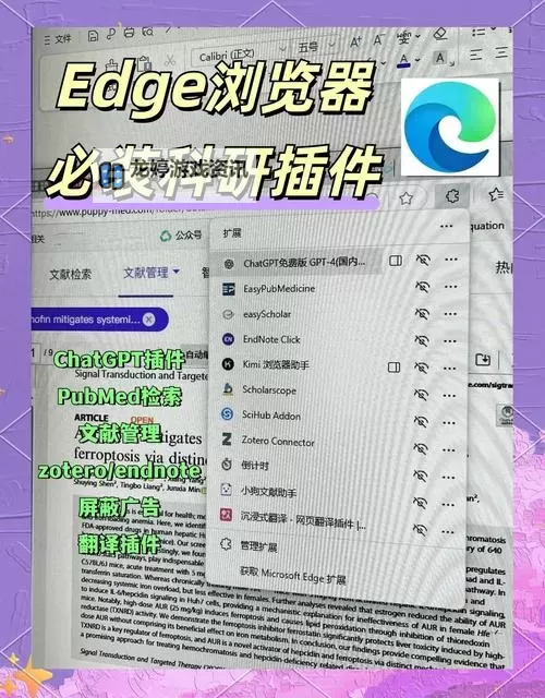 欧美精品入口用浏览器打开:轻松畅享优质内容的便捷指南图2