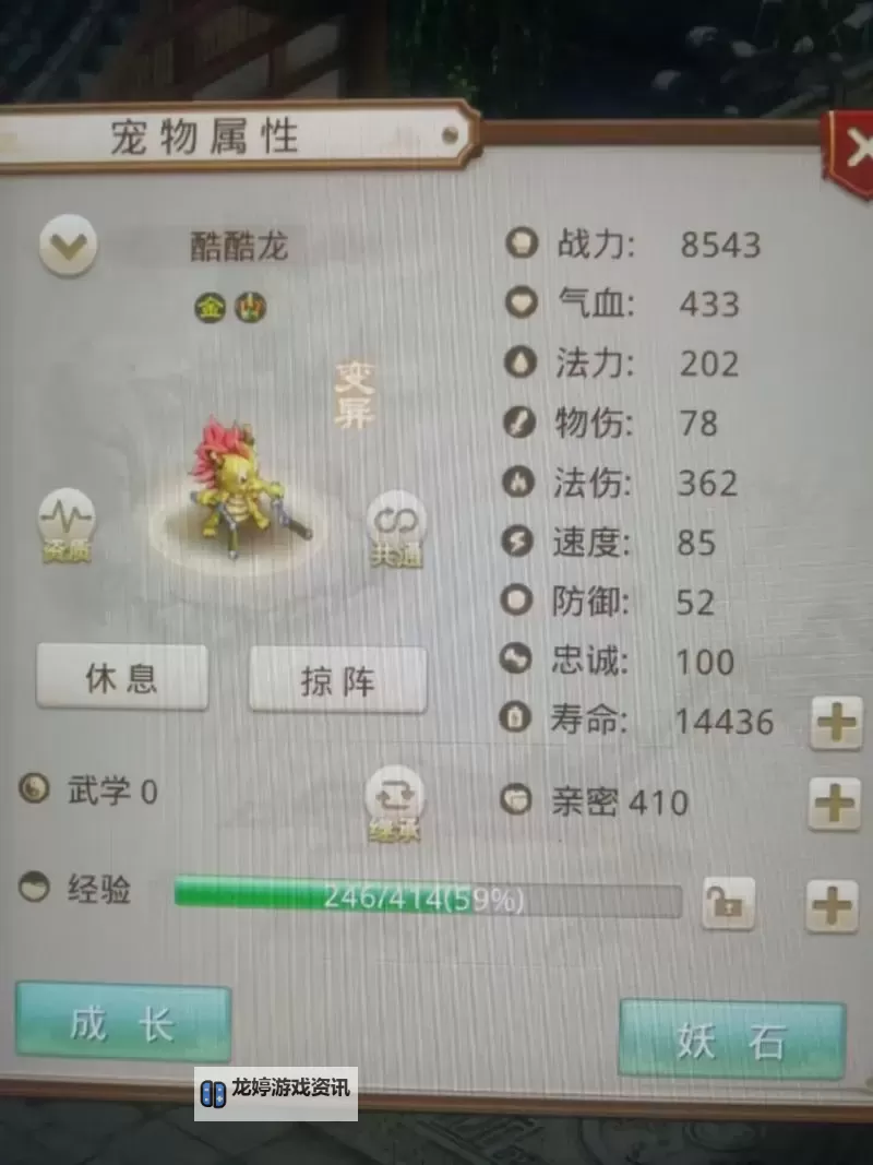 问道强12最划算宠物推荐:性价比最高的宠物攻略图2