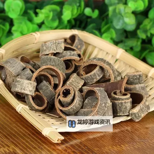 重皮哪里多:揭秘各地重皮集聚地图2