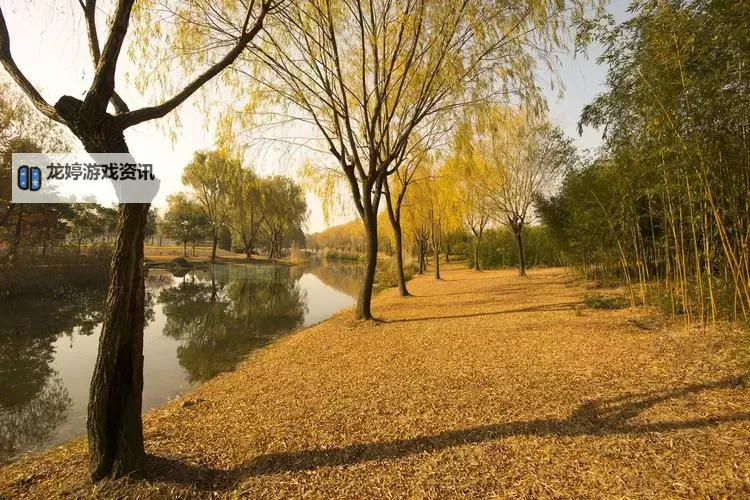 大地的馈赠上衣:自然与温暖的完美融合图2