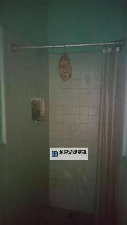 揭秘浴室少女20天恐怖图片背后的谜团图2