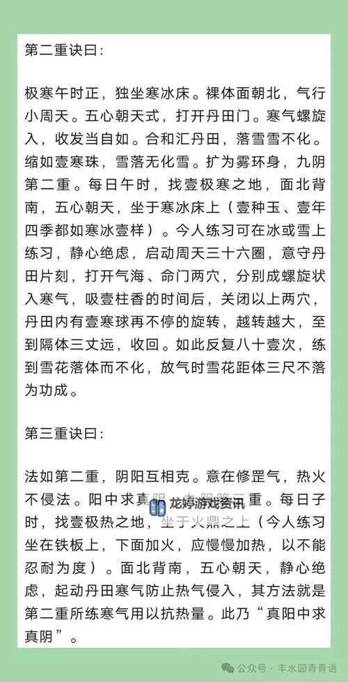 九阴真经青衣阁内功揭秘:武林绝学的奥秘之问图1