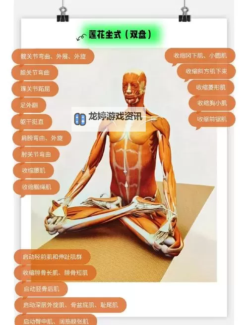 双盘腿打坐的好处与坏处全面解析图1