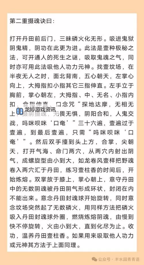 九阴真经卦师有什么好处:揭秘卦师在修炼中的重要作用图1