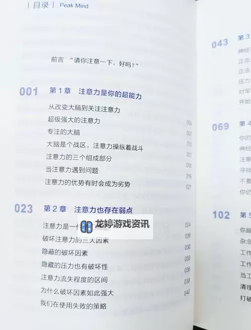 提升能力的关键:掌握增幅11上12技巧的实用指南图1