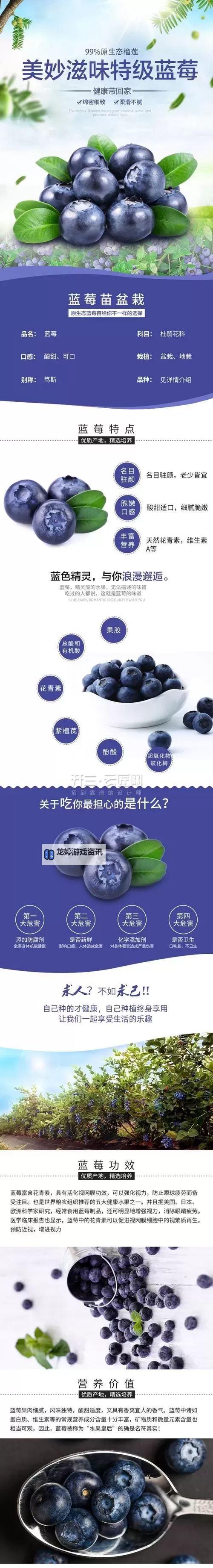 蓝莓视频在线观看18:精彩内容全览与观看指南图1