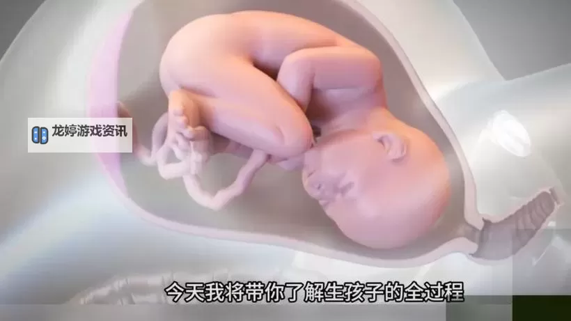 男生跟女生一起生小孩视频:见证生命奇迹的感人瞬间图2