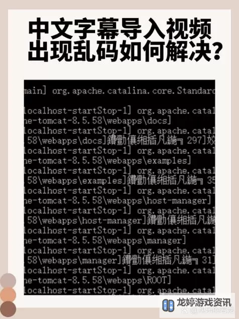 解决方案:中文字幕导入是乱码的原因与解决方法图2