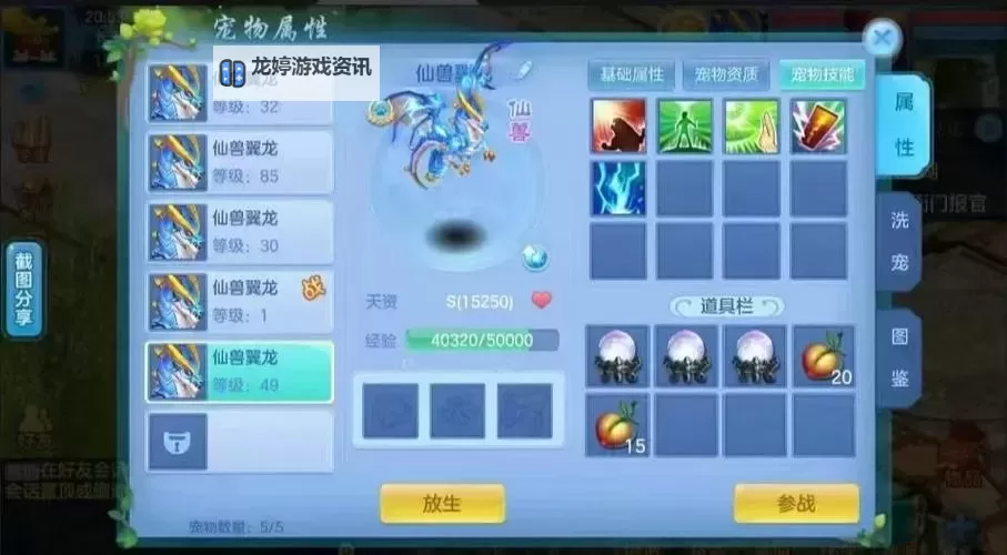 神武手游天宫伙伴搭配指南：完整攻略与最佳阵容推荐图2