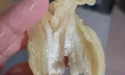 聊斋搜神记红包版真假揭秘：玩手游需警惕陷阱