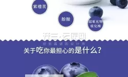 蓝莓视频在线观看18：精彩内容全览与观看指南