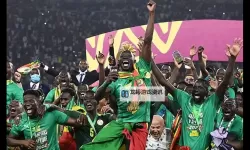 最新分析：塞内加尔足球排名及其在非洲足坛的地位