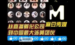 果冻传煤视频：趣味十足的创意短片欣赏