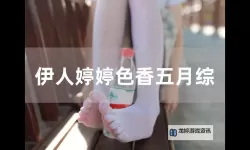 探索情色五月婷婷：现代视觉文化中的独特魅力