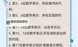 全面介绍证件号码大全：类型、用途与验证指南