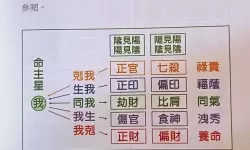 九阴真经丐帮君子堂如何选择：攻略指南与实用建议