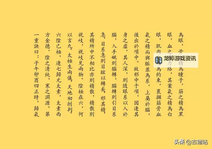 九阴真经绝学:武侠世界的终极秘籍探索图1