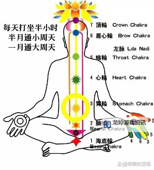 静心修养:打坐三小时的心灵洗礼图1