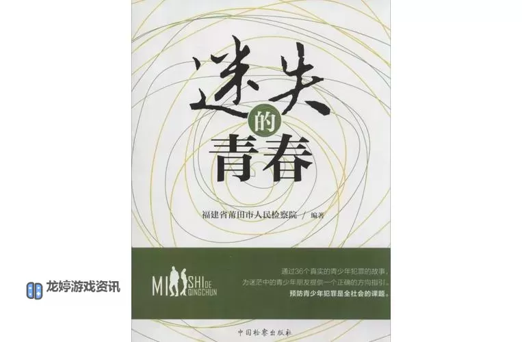 这该死的青春:迷失与燃烧的岁月图2