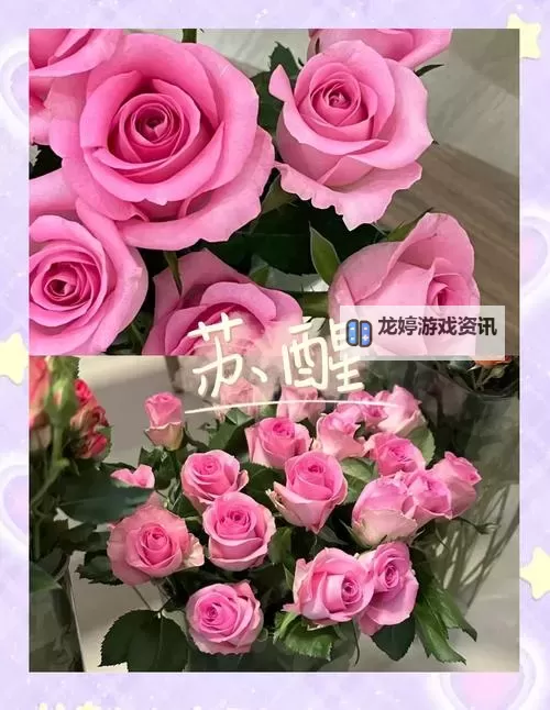 夜间禁用的18款粉色APP推荐指南图1