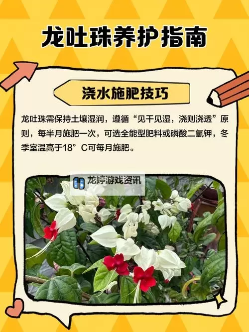 珍珠龙伞怕霜冻吗:养护指南与防护措施解析图1