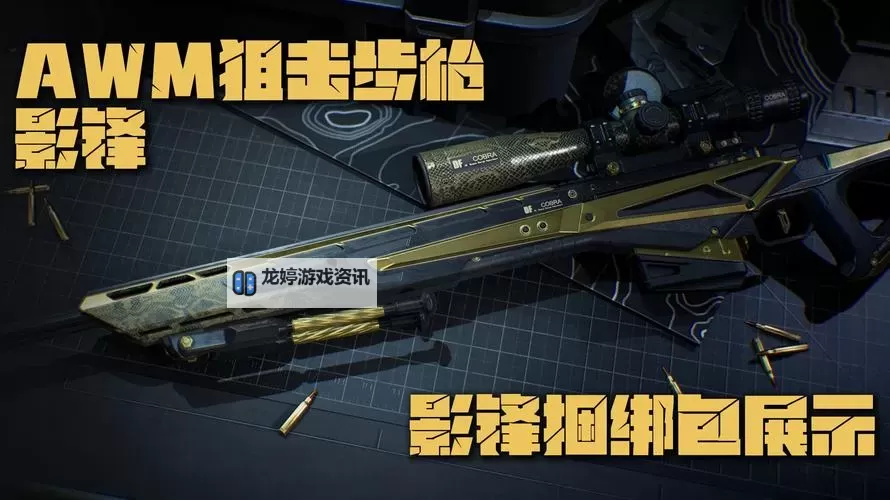 影踪派武器:暗影中的终极秘密图1
