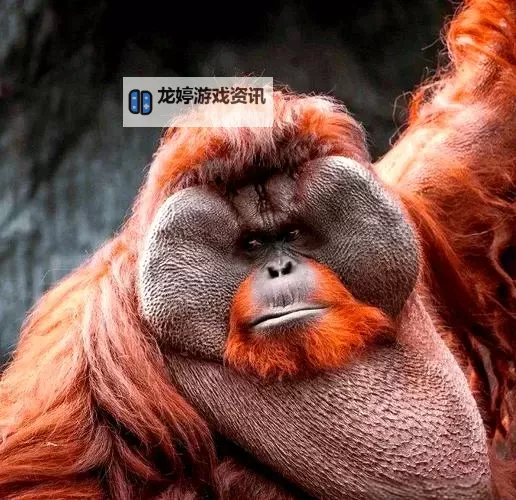 探索精彩纷呈的内容:55sese亚洲在线视频全方位解析图1