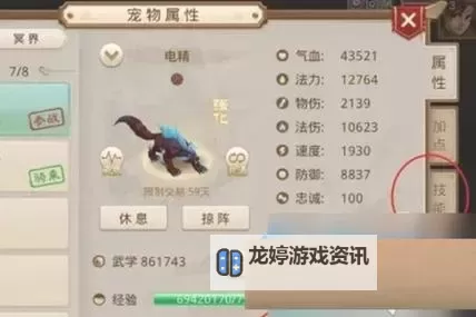问道坐骑与宠物全攻略:提升实力的最佳搭配指南图2