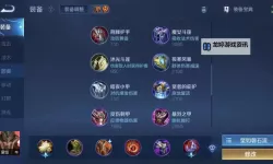 蒙多出装端游攻略：最强搭配与实用技巧分享