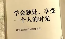 适合晚上一个人看的在线观看推荐：放松心情的最佳选择