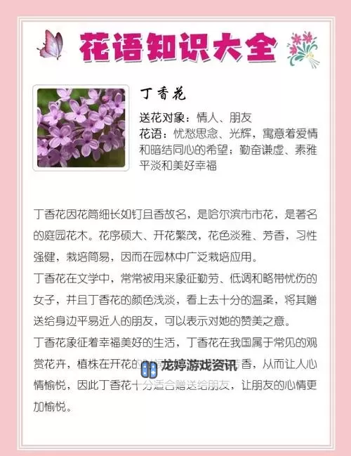 【精彩推荐】五月丁香综带你领略多彩人生图1