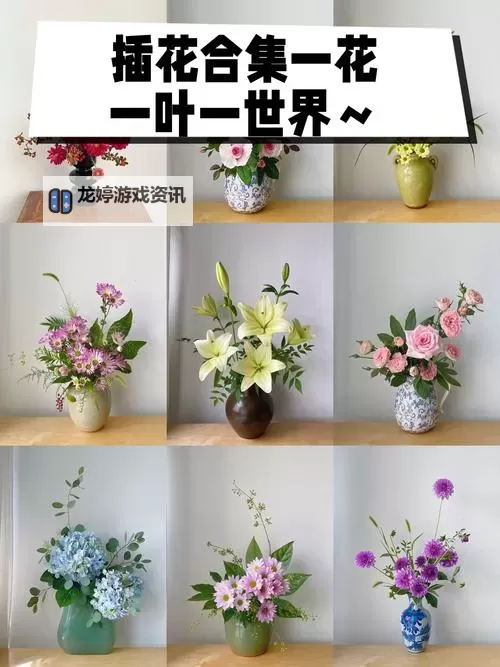 紫龙插花芯:点亮你的花艺创作新灵感图1