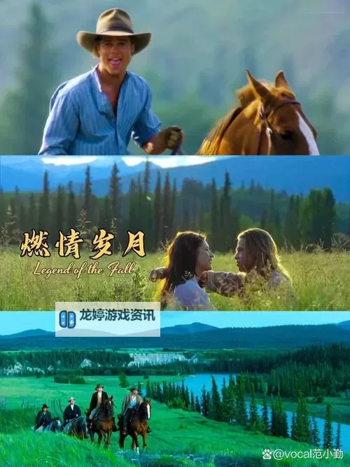 激情在哪推荐看:燃情大片与经典之作指南图1