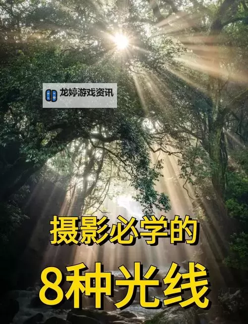 自W到高C的50种图片教程:全面提升你的摄影技巧图2