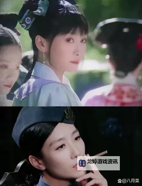 《甄嬛转全集:宫廷风云的精彩绝伦与深刻人生刻画》图1