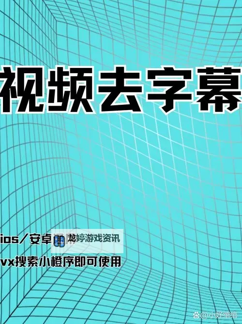 解决中日文字字幕乱码视频的方法与教程图2