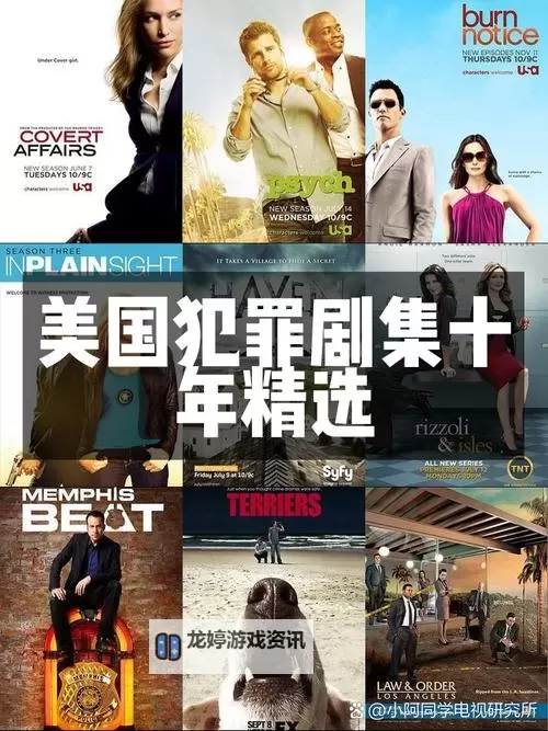 美国十次狠狠色综合:深度剖析与未来展望图1