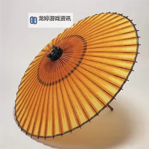 混元珍珠伞的样子图片大全:优雅精美的绝美伞艺展示图1