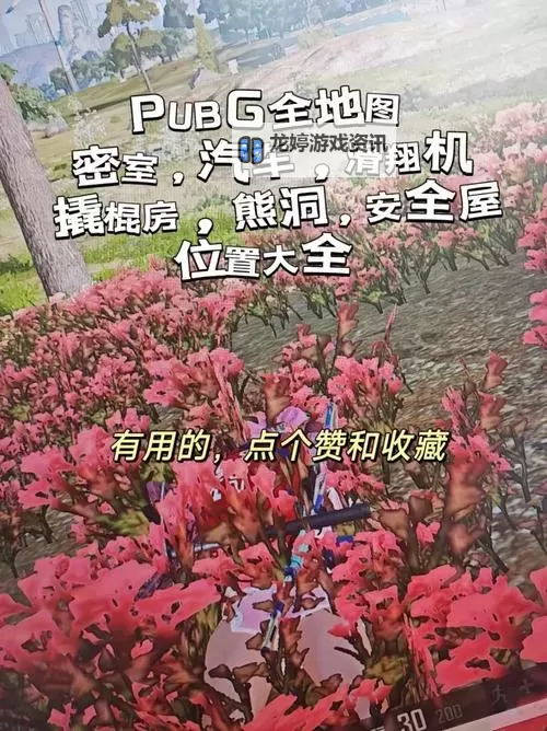 真人直播刺激战场在哪里？详细位置指南一览图1